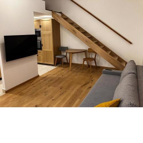 1 bedroom 1 sofabed downtown apartment