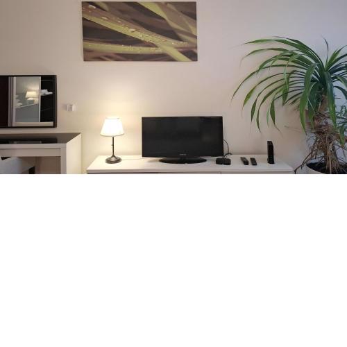 4 bedrooms 4 bathrooms luxury in Budapest centre