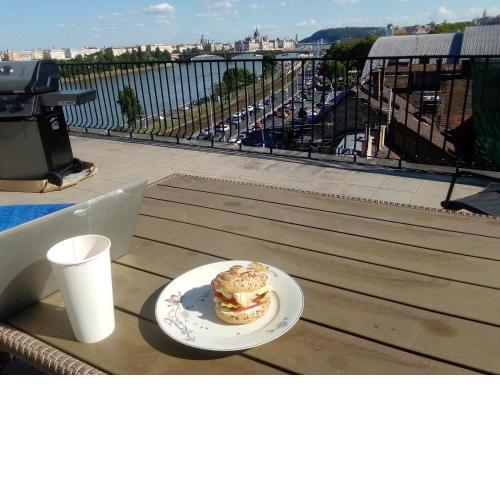 A Rooftop near Danube and Margareth island
