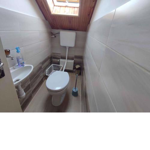 Apartments in Siofok - Balaton 45812