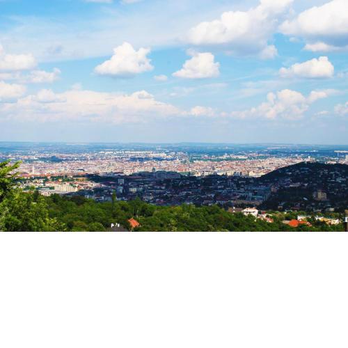 Best view small house free parking self check-in
