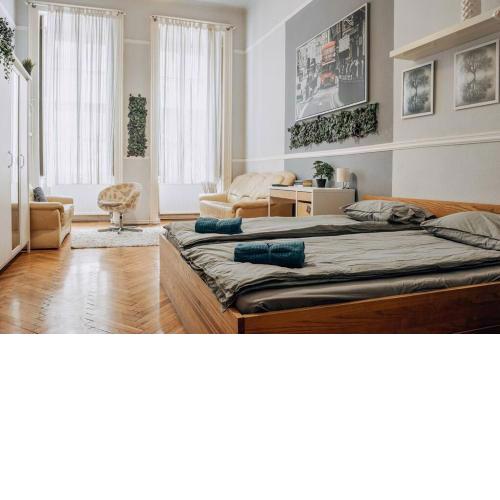 BIG APARTMENT IN THE CITY CENTRE