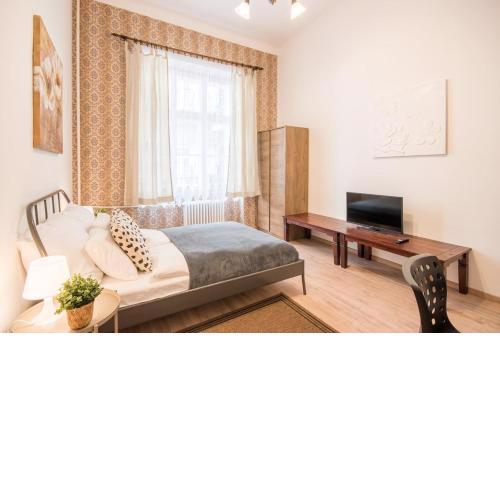Central Comfy Large Apartment