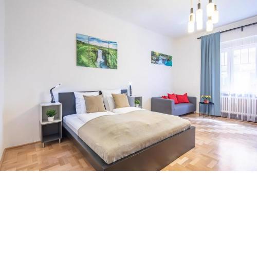 Central Large and Comfy Apartment