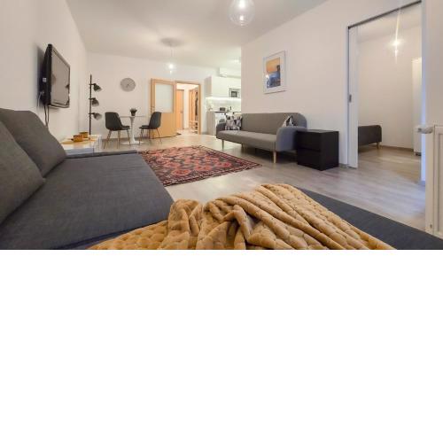Comfort Zone Apartment