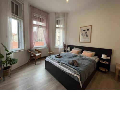 D58 Apartments in the city center