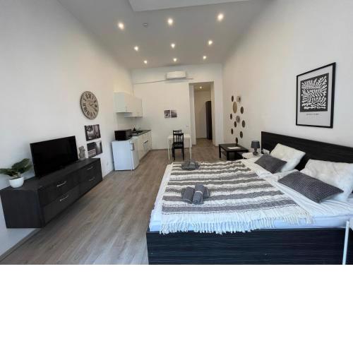 D58 Superior Apartments in the city center