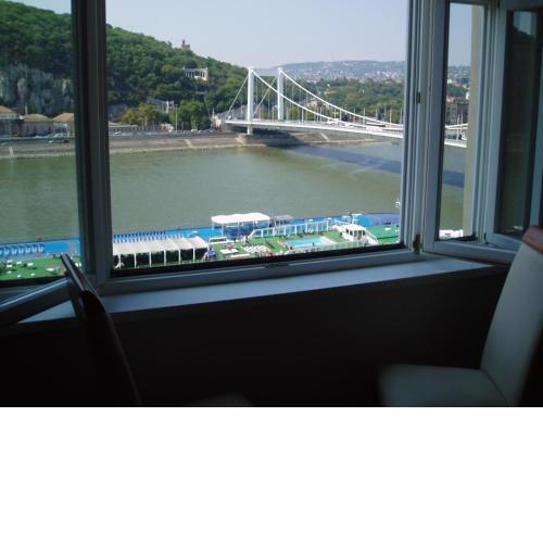 Danube View