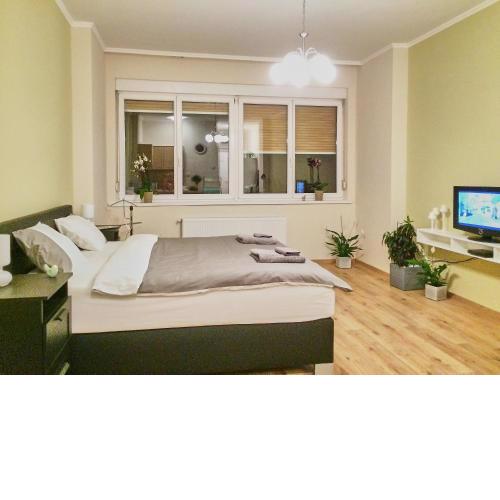 Dove Budapest | Apartment