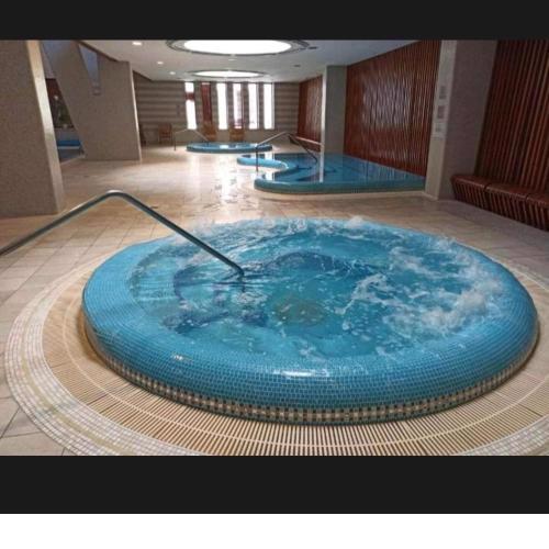 Dunapest thermal luxury residence