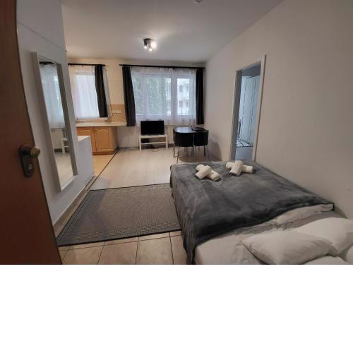 HI Downtown Apartment A308