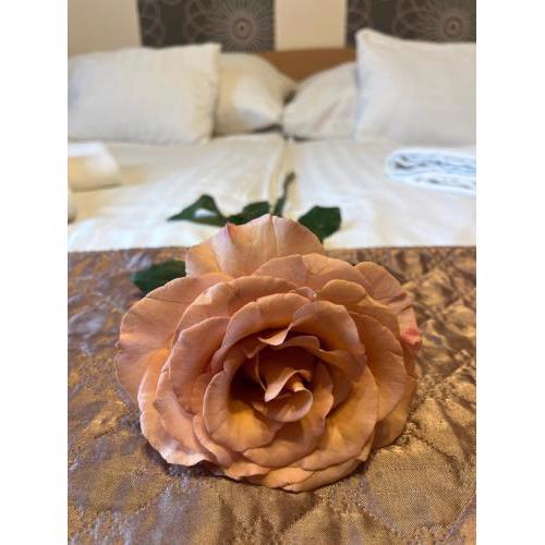 Hotel Rose City