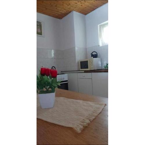 Kéktúrás-Tóra Nyíló privát bérlemény