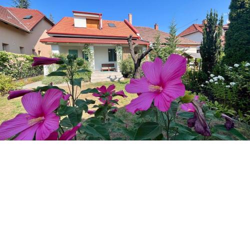 Kovács Guesthouse - Budapest