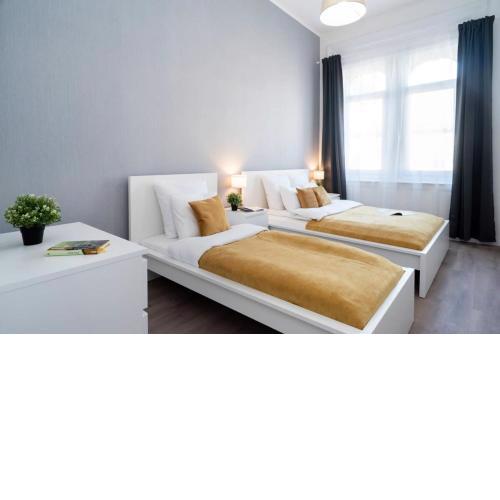 Large Apartment at Perfect Central Location