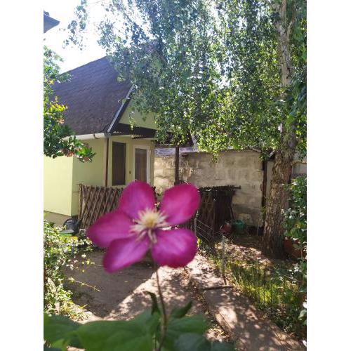 Life water small house