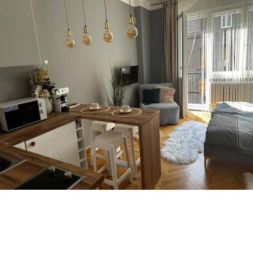 Luxury downtown apartment