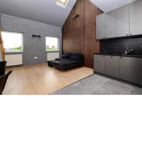luxury duplex apartment in the city center.