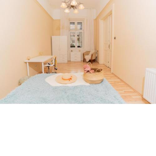 nice 5-room apartment in the heart of the city center near the synagogue