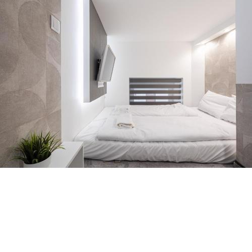 Nook Oasis Apartment