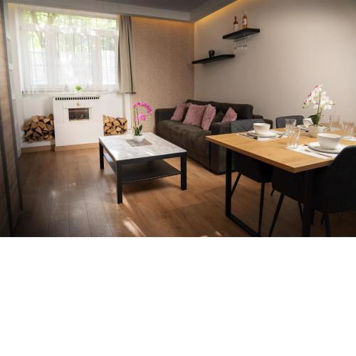 Premium Apartment by the Danube with AC