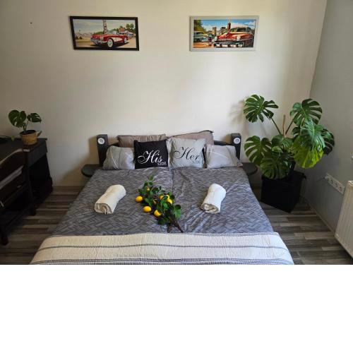 Serenity Family apartment in Old Buda near tram line