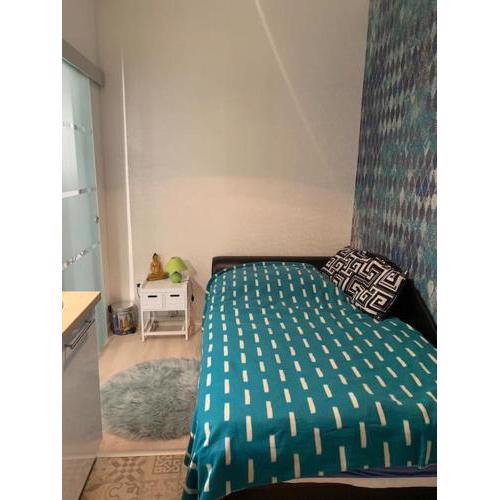 Single Sunny Mini Studio Flat