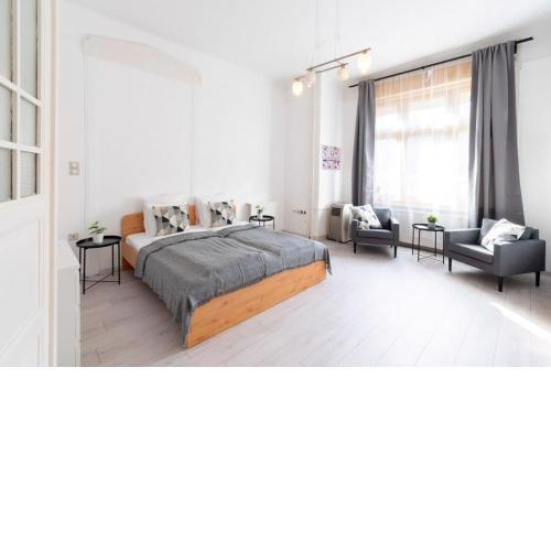 Spacious and comfy very central apartment