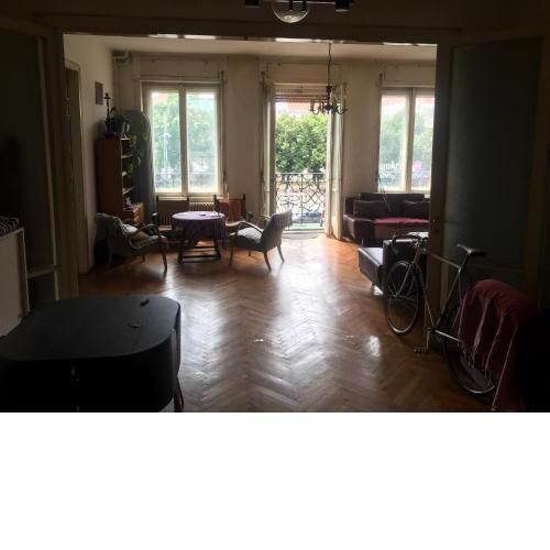 spacious apartman in the center