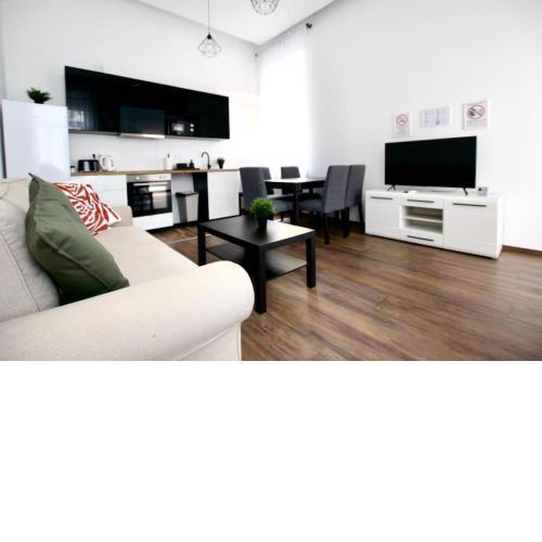 Standard Apartment by Hi5- Bajcsy 63