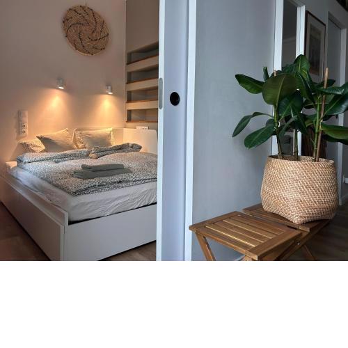 Stylish 2BR apartment in excellent location