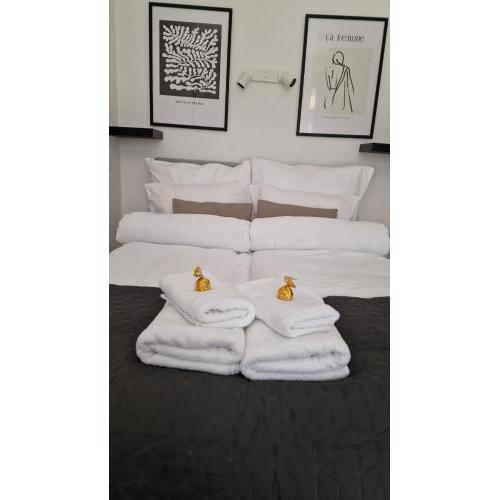TAS Vas - Charming Apartments in Budapest