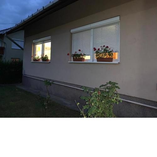 Tulman Apartment